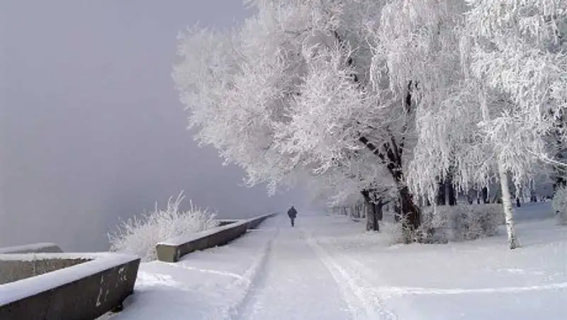 24 декабря на большей части Казахстана выпадет снег