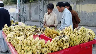 Zakon.kz, фото - Новости Zakon.kz от 12.01.2016 02:21