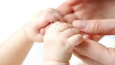 Zakon.kz, фото - Новости Zakon.kz от 14.10.2014 17:58