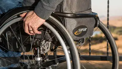 Pixabay, фото - Новости Zakon.kz от 03.02.2020 20:58