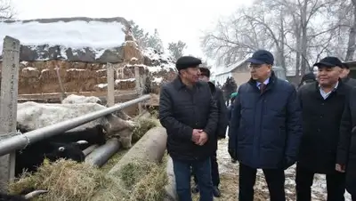 Пресс-служба акима ЮКО, фото - Новости Zakon.kz от 22.12.2017 11:02