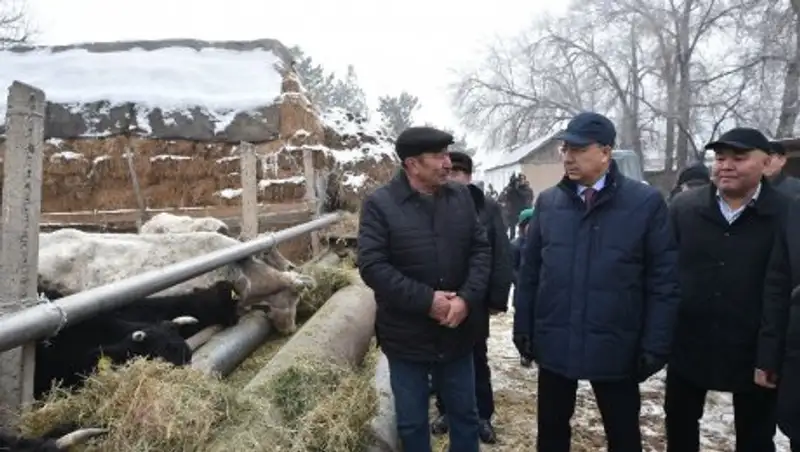 Ж.Туймебаев: Главная задача – обеспечить население работой