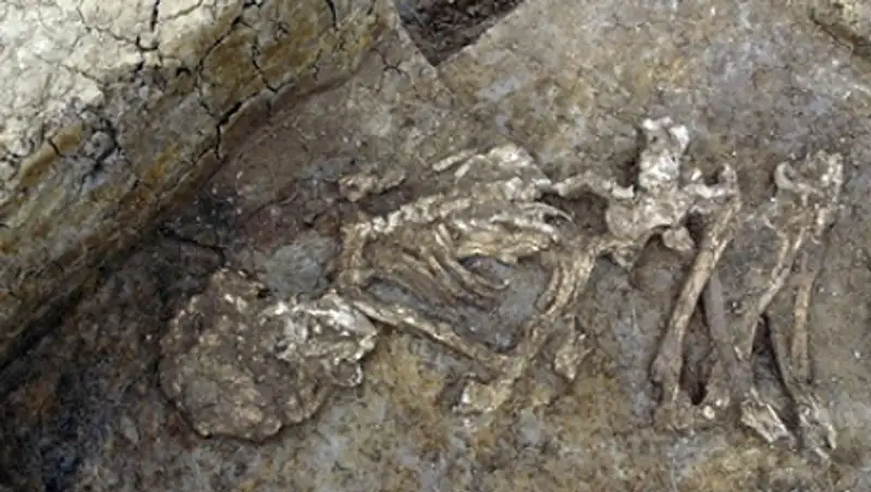 У древних британцев нашли склонность к мумификации мертвецов