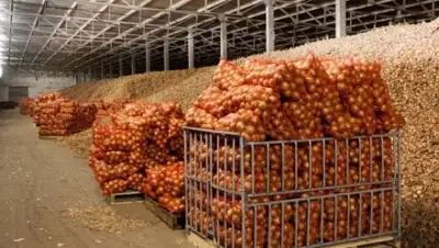 Zakon.kz, фото - Новости Zakon.kz от 24.11.2015 21:26