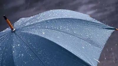 Zakon.kz, фото - Новости Zakon.kz от 16.11.2017 06:21