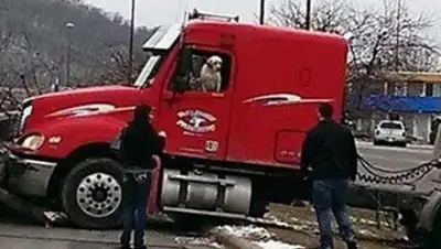 Zakon.kz, фото - Новости Zakon.kz от 06.03.2016 15:37