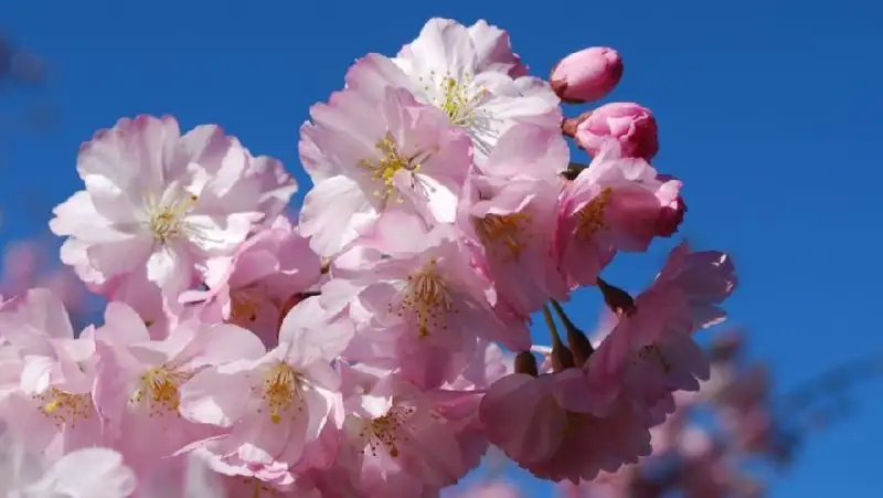 Синоптики рассказали, какой будет погода в ближайшие полгода