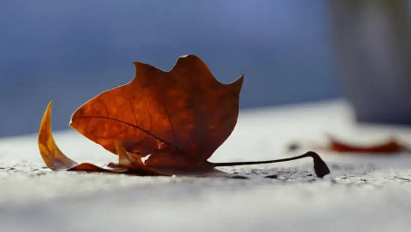 Осадки и похолодание ожидаются в выходные