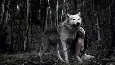 Zakon.kz, фото - Новости Zakon.kz от 04.08.2014 03:33