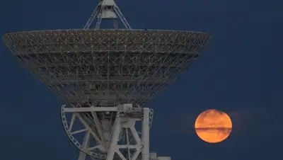 РИА Новости, фото - Новости Zakon.kz от 02.01.2018 21:22