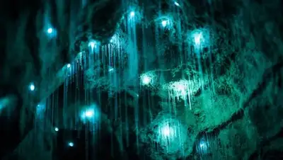 Zakon.kz, фото - Новости Zakon.kz от 31.05.2016 17:15