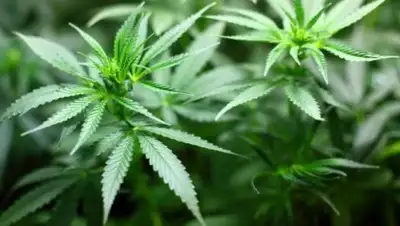 Zakon.kz, фото - Новости Zakon.kz от 21.09.2017 22:54