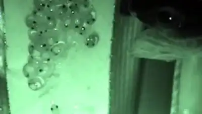 Zakon.kz, фото - Новости Zakon.kz от 17.06.2016 01:43