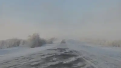 Zakon.kz, фото - Новости Zakon.kz от 30.12.2016 14:28