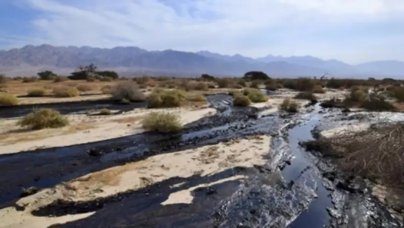 Миллионы литров нефти из поврежденного трубопровода затопили 100 гектаров на юге Израиля