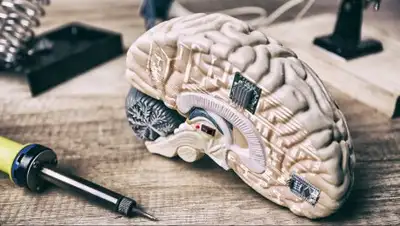 iStock, фото - Новости Zakon.kz от 01.12.2017 00:18