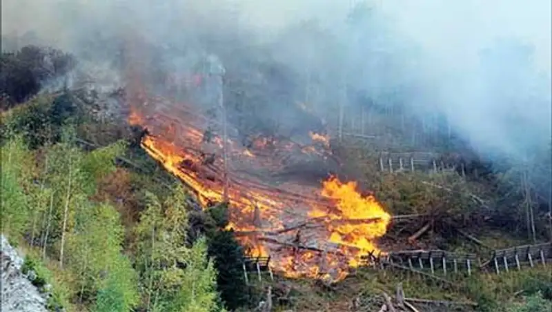 Крупный природный пожар третий день тушат в Жамбылской области, есть жертвы