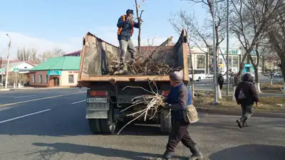Media Taraz, фото - Новости Zakon.kz от 18.11.2021 15:50
