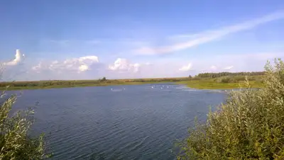 Wikimapia, фото - Новости Zakon.kz от 24.06.2019 15:26