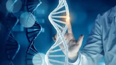 АиФ, фото - Новости Zakon.kz от 29.11.2018 21:36