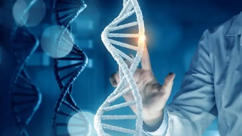 Опыты с ДНК эмбриона запретили в Китае