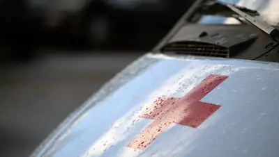 NewsOne, фото - Новости Zakon.kz от 19.03.2019 09:37