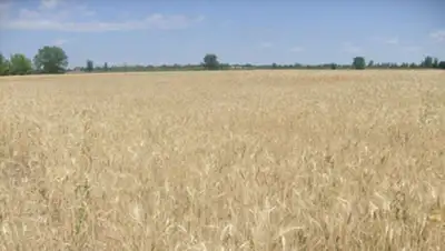 Zakon.kz, фото - Новости Zakon.kz от 13.07.2015 18:43