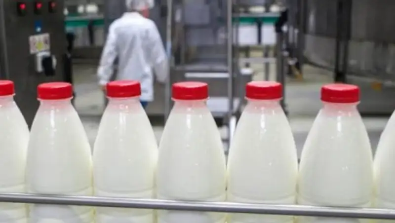 В Казахстане увеличился выпуск молочной продукции
