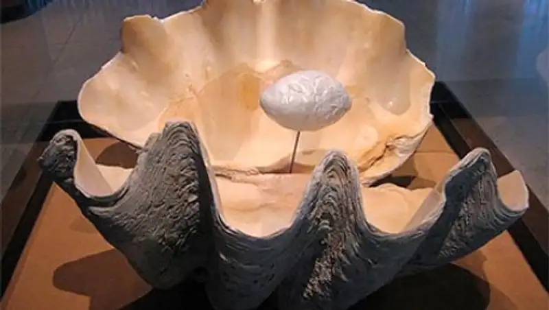 Рыбак с Филиппин 10 лет хранил жемчужину за 100 миллионов долларов под кроватью