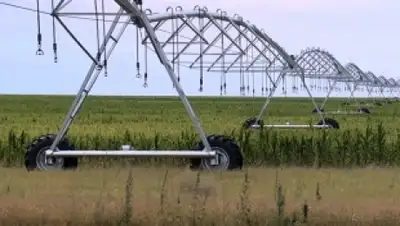 Zakon.kz, фото - Новости Zakon.kz от 02.08.2015 03:08