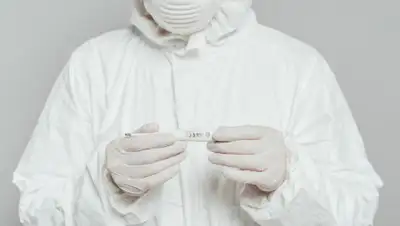 Depositphotos, фото - Новости Zakon.kz от 01.05.2020 16:24