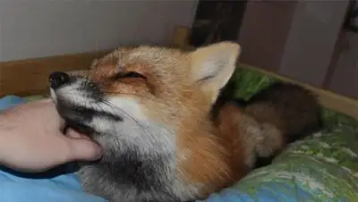 Zakon.kz, фото - Новости Zakon.kz от 10.11.2014 18:54