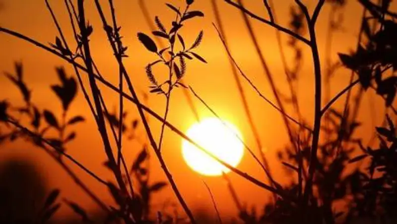 Какой будет погода в Казахстане 29 июля