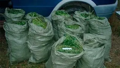 Zakon.kz, фото - Новости Zakon.kz от 18.08.2014 17:51