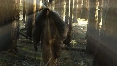 Zakon.kz, фото - Новости Zakon.kz от 26.12.2016 22:01