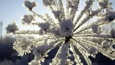 Zakon.kz, фото - Новости Zakon.kz от 19.01.2017 12:04