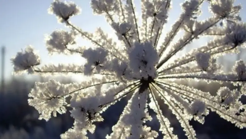 Без осадков будет в четверг в Казахстане