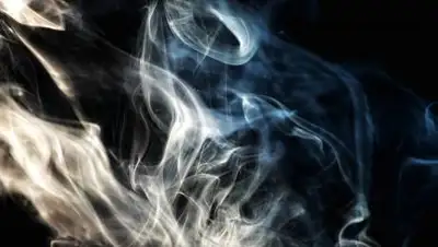 pixabay.com, фото - Новости Zakon.kz от 28.10.2021 11:07