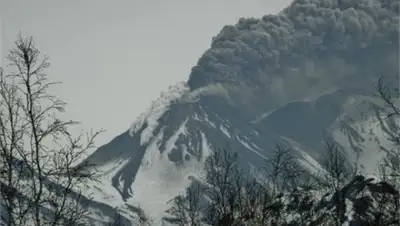 Zakon.kz, фото - Новости Zakon.kz от 25.03.2016 14:47
