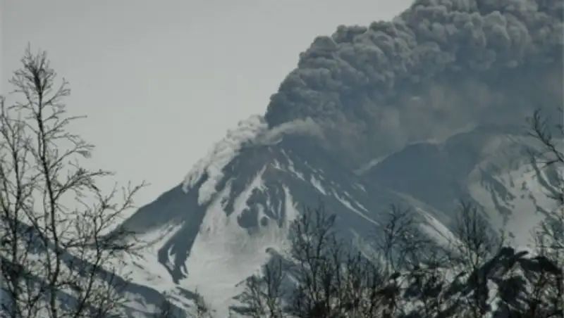 Вулкан Жупановский на Камчатке выбросил столб пепла на 8 километров