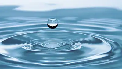 pixabay.com, фото - Новости Zakon.kz от 04.06.2019 09:36