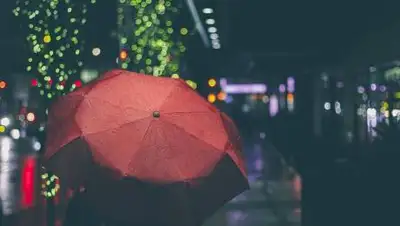 pixabay.com, фото - Новости Zakon.kz от 18.10.2021 14:53