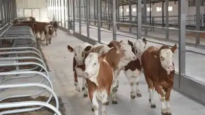 Управление внутренней политики Акмолинской области, фото - Новости Zakon.kz от 09.06.2021 18:34