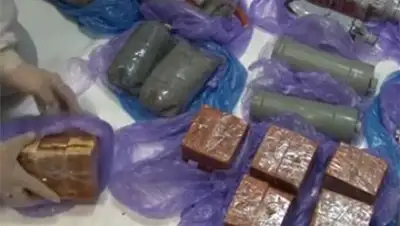 Zakon.kz, фото - Новости Zakon.kz от 11.08.2016 07:24