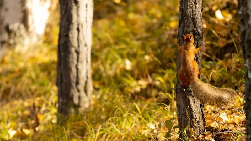 Народные приметы на 30 сентября: что нужно сделать в день Веры, Надежды и Любви