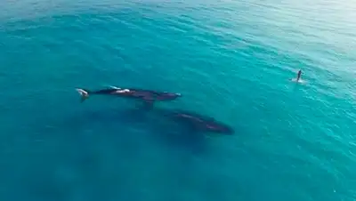 Zakon.kz, фото - Новости Zakon.kz от 12.10.2015 16:12