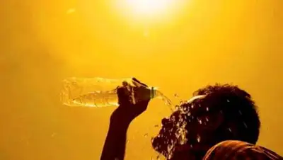 pavlodarnews.kz, фото - Новости Zakon.kz от 23.07.2021 15:23