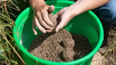 Zakon.kz, фото - Новости Zakon.kz от 04.08.2015 21:26