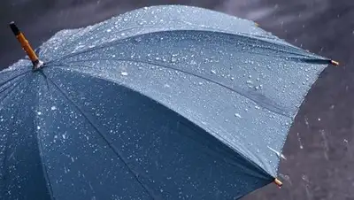 Zakon.kz, фото - Новости Zakon.kz от 03.08.2017 12:00