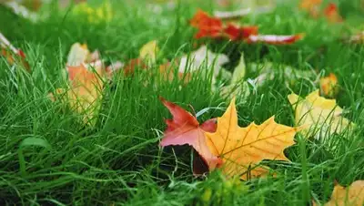 Zakon.kz, фото - Новости Zakon.kz от 04.09.2016 12:03